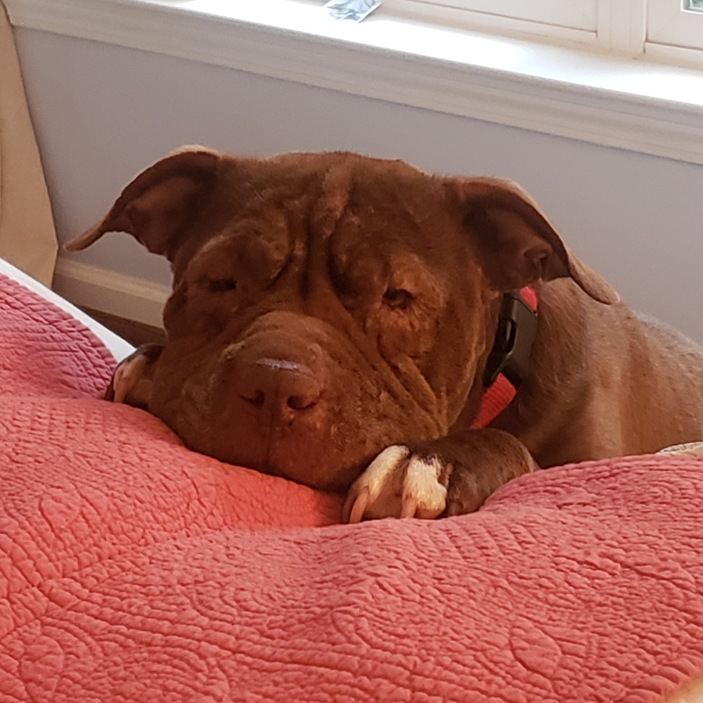 Meet your Posher, Jennifer